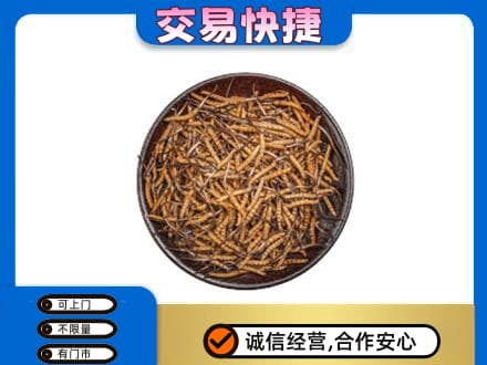 克拉玛依独山子区回收散虫草